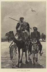 Beute aus der Wüste